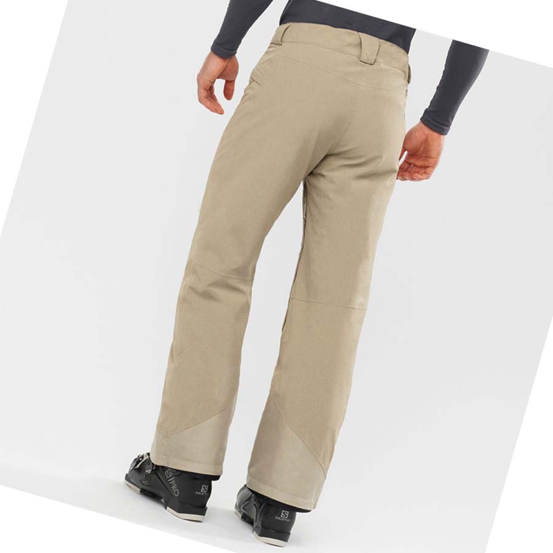 Beige Salomon UNTRACKED Men's Ski Pants | PTBRWZX-41