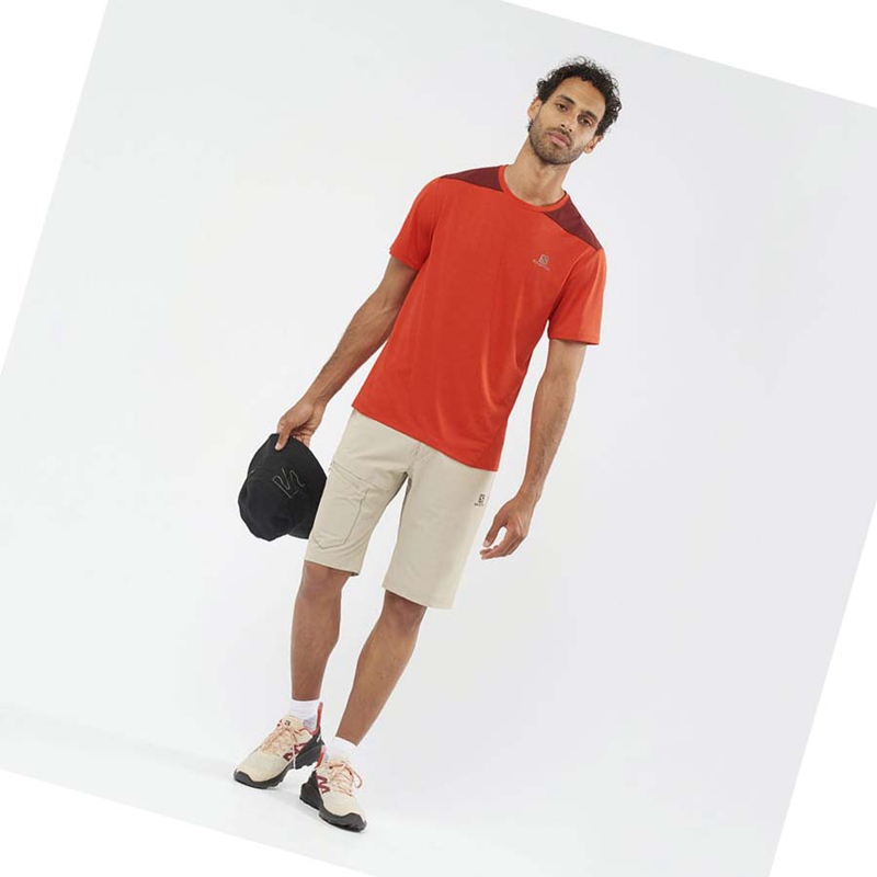 Beige Salomon WAYFARER Men's Shorts | UYGSXNO-87