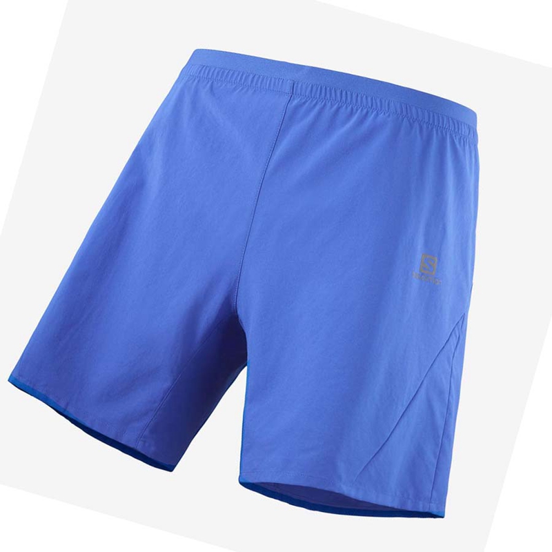 Blue Salomon CROSS 7\'\' Men\'s Shorts | XPEOMZC-74