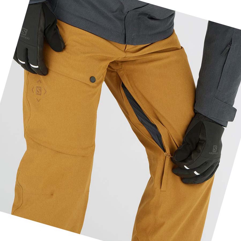 Brown Salomon UNTRACKED Men's Ski Pants | CNTHADW-23