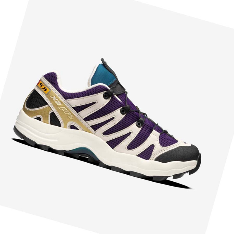 Purple / Chocolate / Blue Salomon XA PRO 1 Men\'s Sneakers | HVQCOXT-57