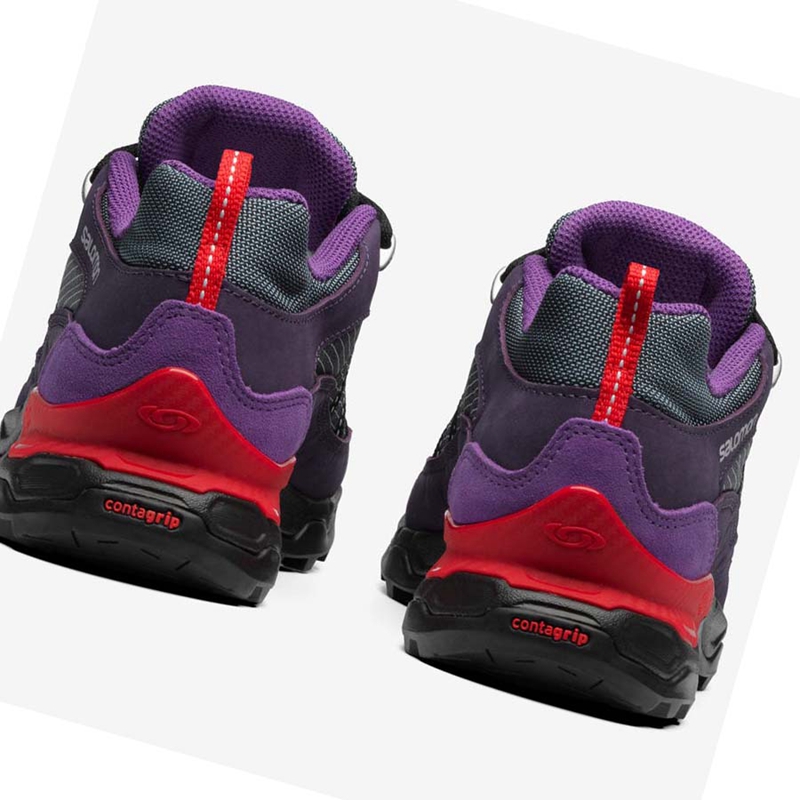 Purple Salomon SHELTER LOW LEATHER Men's Sneakers | QLXISOJ-46