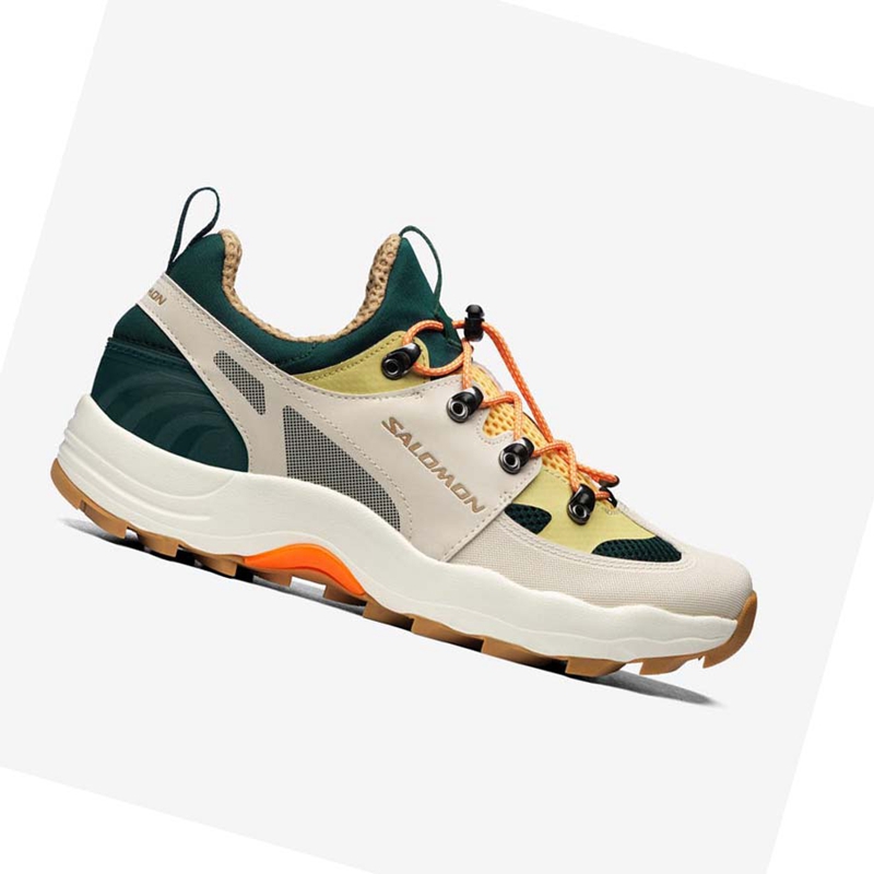 Beige Salomon RAID WIND Women's Sneakers | HFUJNGE-54