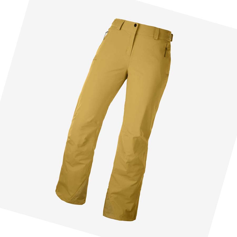 Brown Salomon THE BRILLIANT Women's Ski Pants | ITKPYVE-41