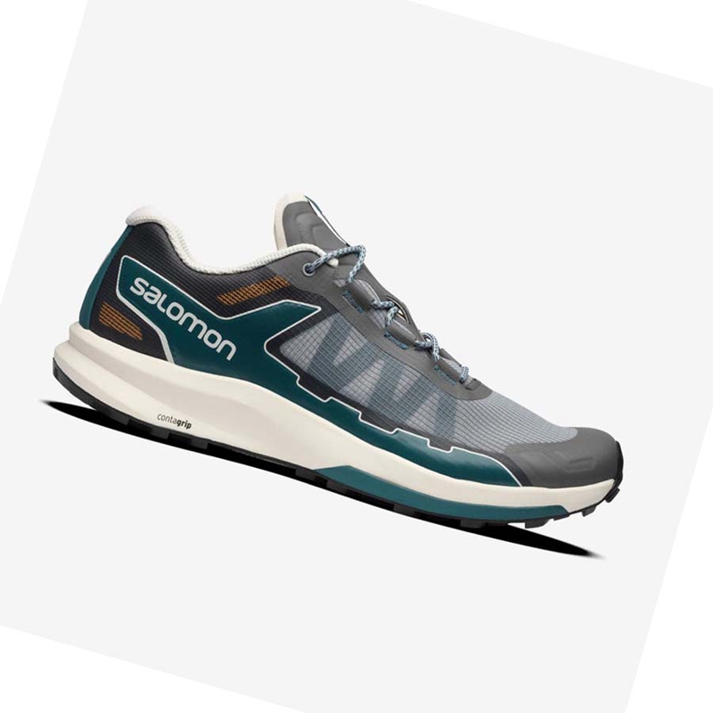 Grey Salomon ULTRA RAID Women's Sneakers | BPKUZGC-69