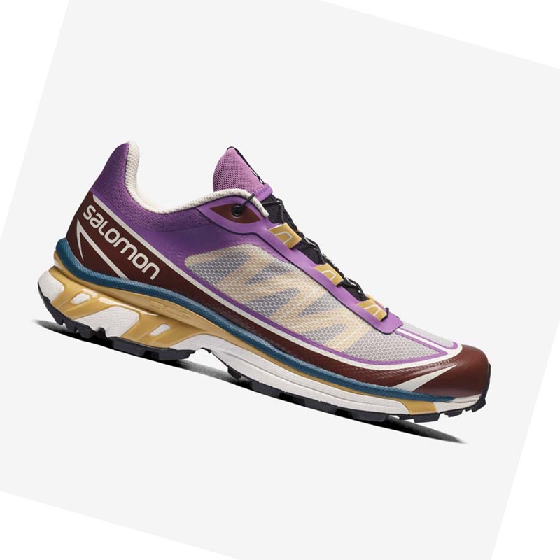 Purple / Chocolate Salomon XT-6 FT Women's Sneakers | EIMSQJH-92